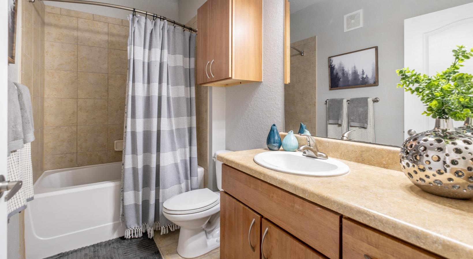 Bathroom options with thoughtful details a bathroom with a sink and a toilet