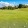 a golf course with golf balls