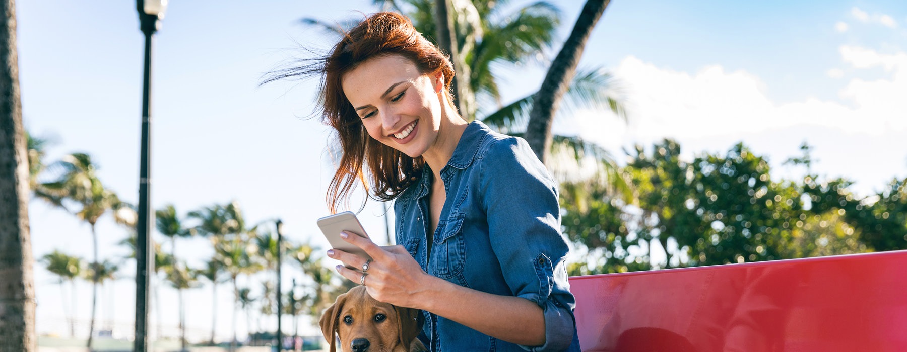 woman looks at her phone as she sits on a bench with her dog