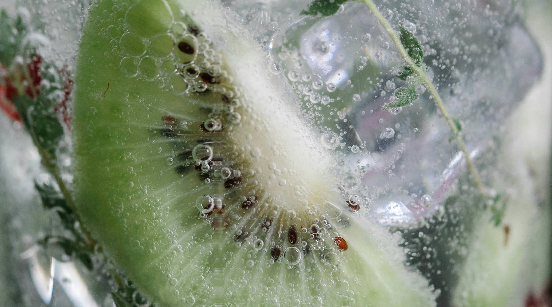 Enduring Style. Unparalleled Comfort. kiwi slices in iced water