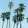 palm trees