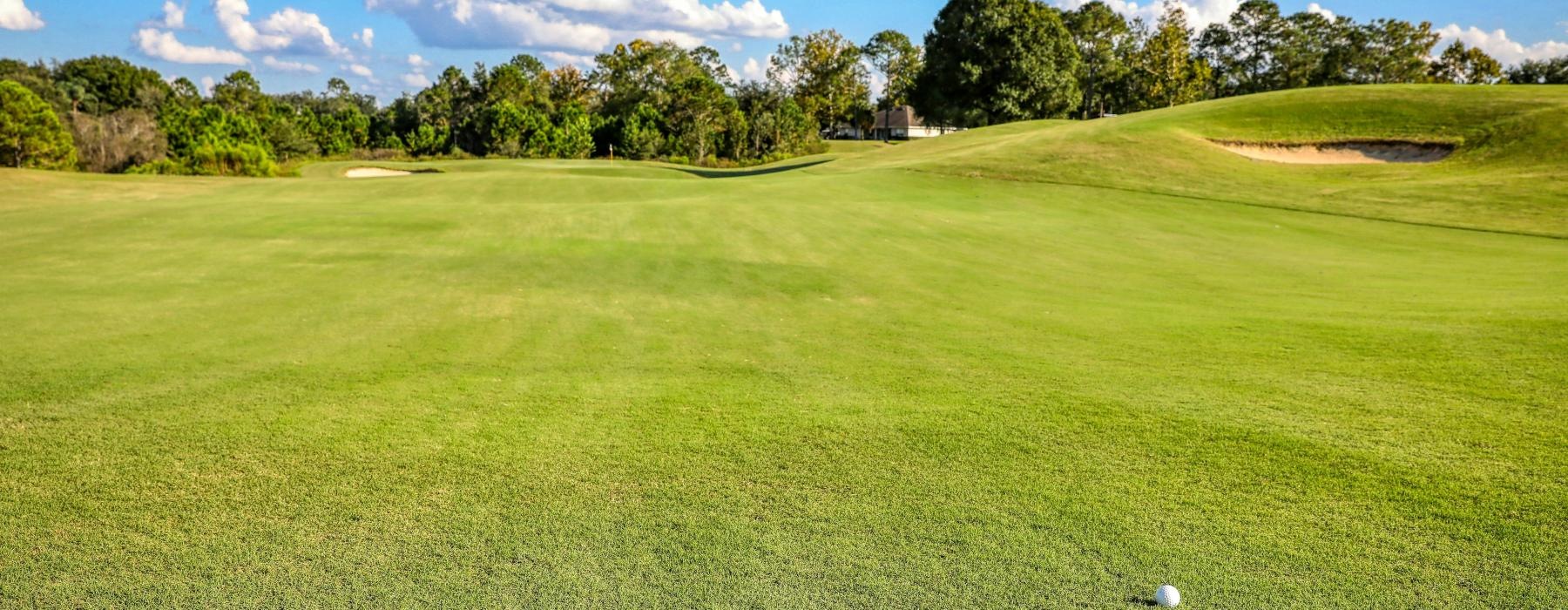 a golf course with golf balls